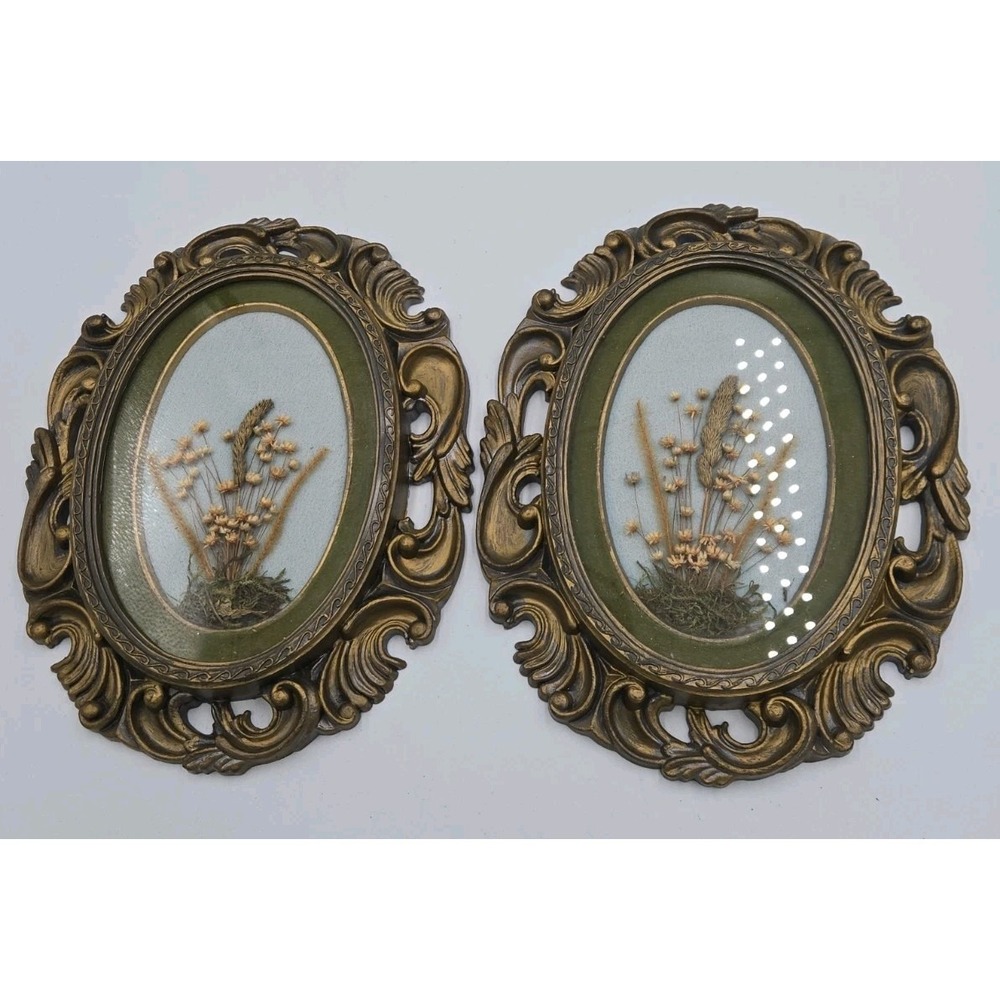 Vintage Pressed Flower Art Set Gold Ornate Round Frames Botanical Wall Decor